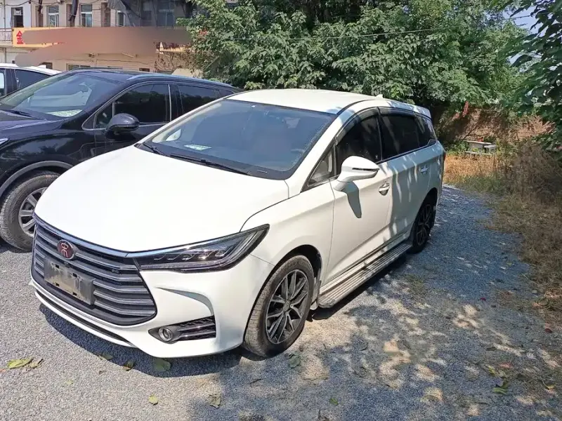 BYD MAX, 2019