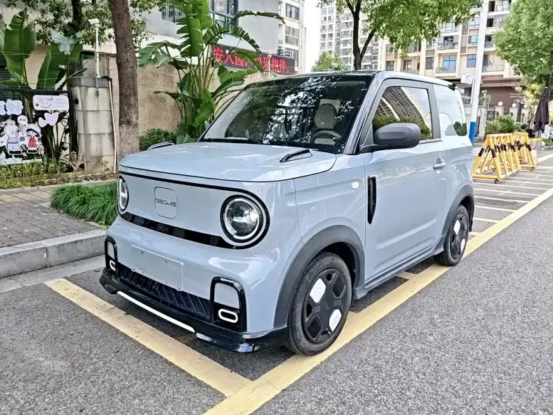 Galaxy Panda, 2025