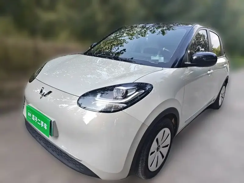Wuling Bingo, 2023