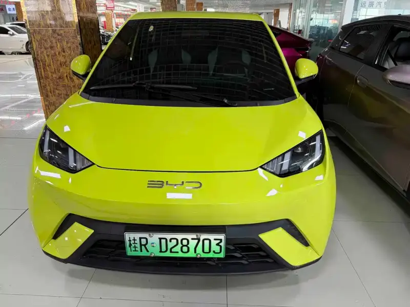 BYD Seagull, 2024