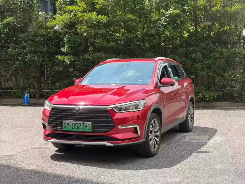 BYD Pro New Energy, 2021