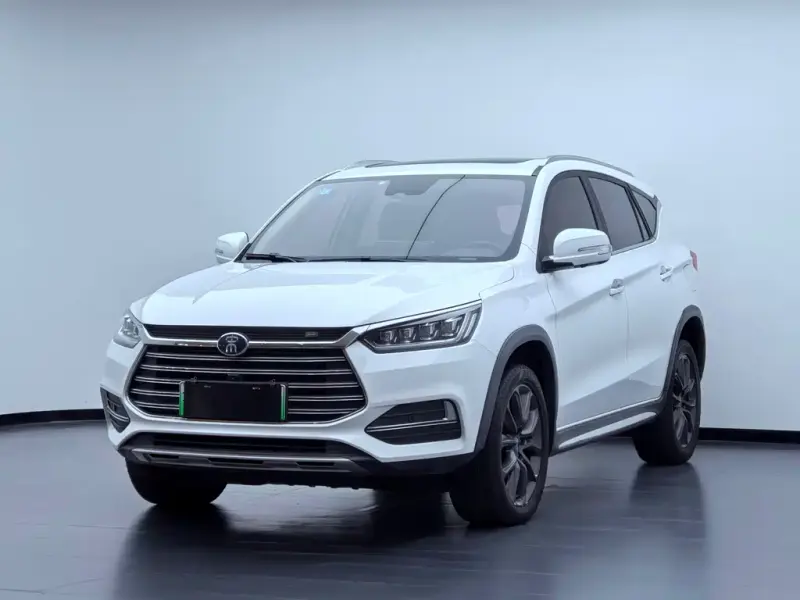 BYD New Energy, 2019