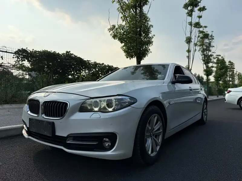 BMW 5 Series, 2014