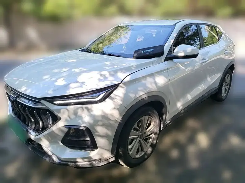 Oshan Oushang X5 Changan Oshan X5 2021 1.6L CVT Premium Type, 2021 — фото 1