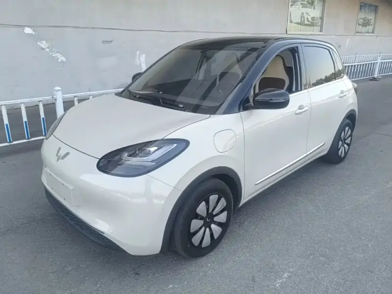 Wuling Bingo, 2024