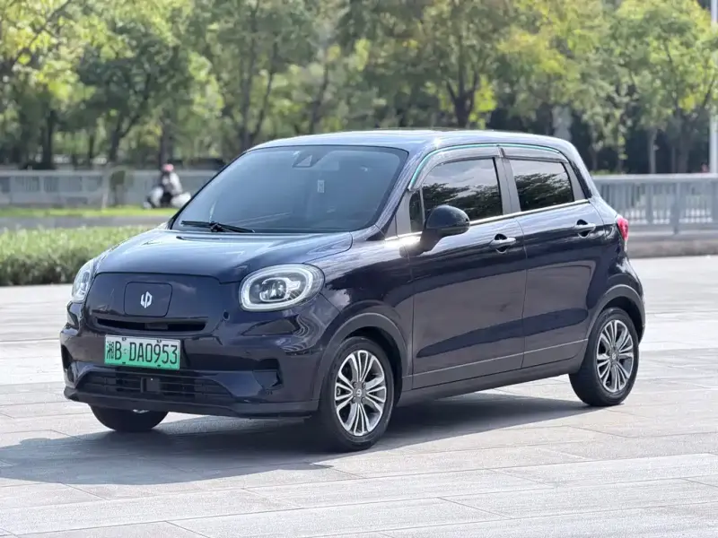 Leapmotor T03, 2021