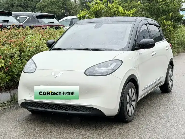 Wuling Bingo, 2023