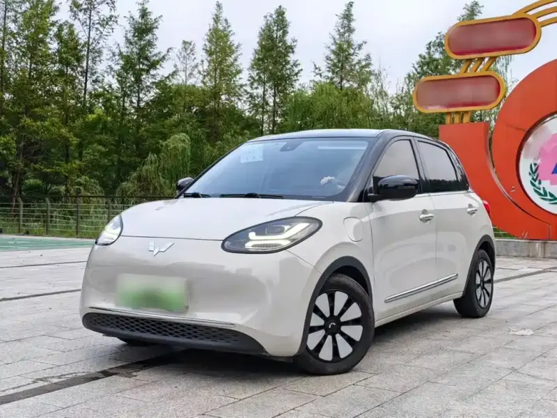 Wuling Bingo, 2023