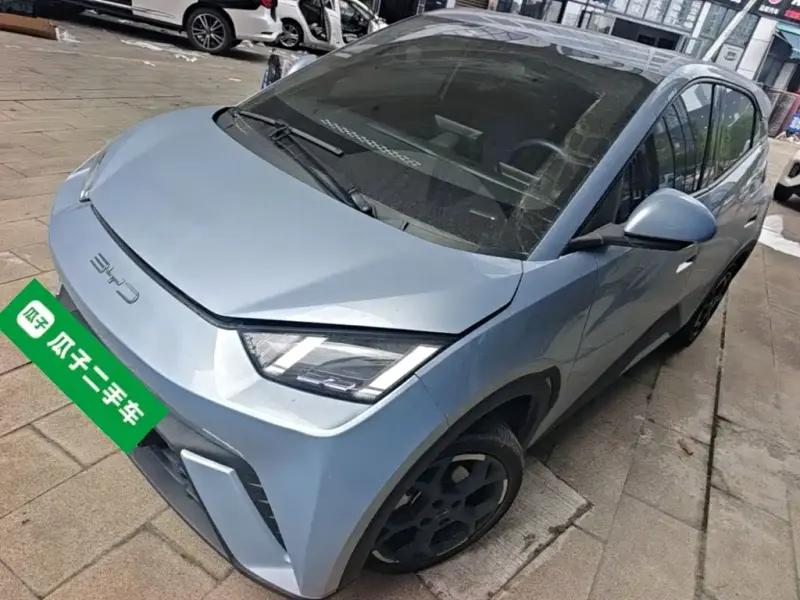 BYD Seagull, 2024
