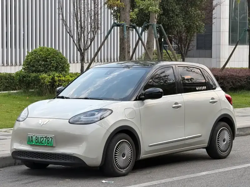 Wuling Bingo, 2023