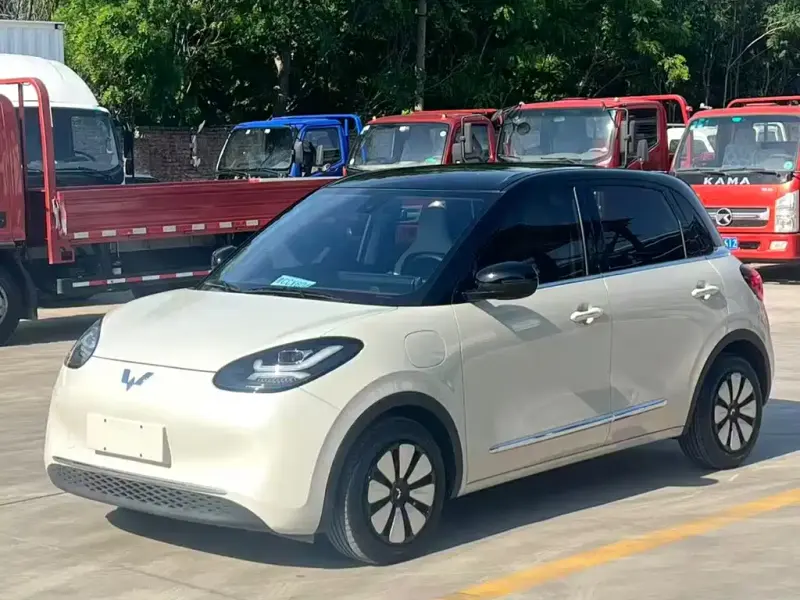 Wuling Bingo, 2023