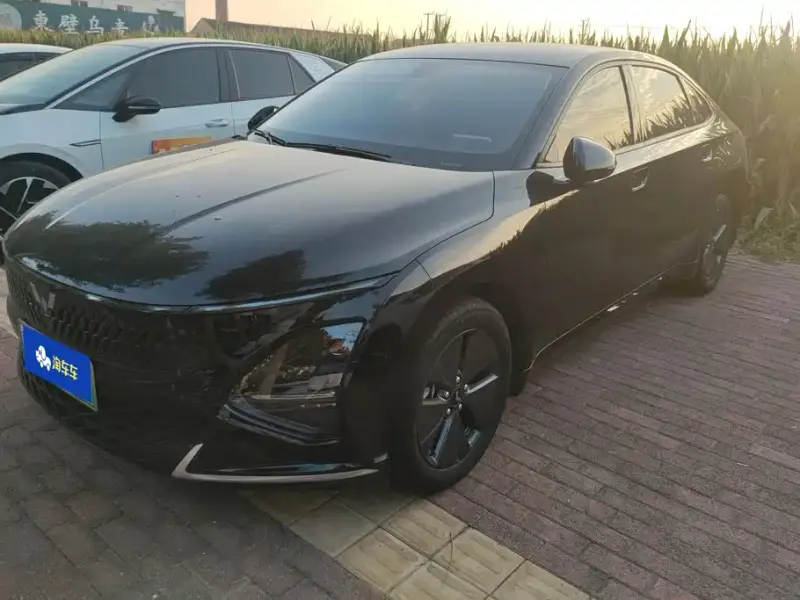 Wuling Xingguang, 2024