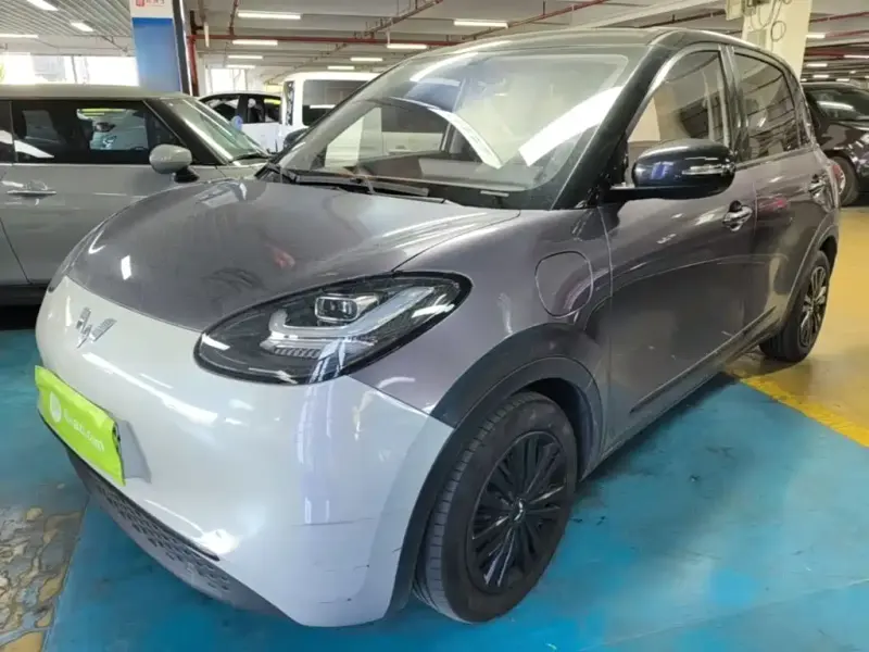 Wuling Bingo, 2024