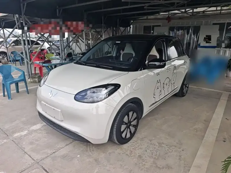 Wuling Bingo, 2024