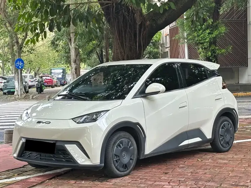 BYD Seagull, 2024