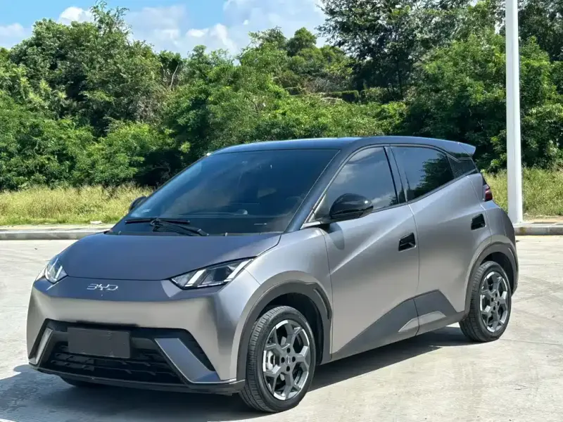 BYD Seagull, 2024