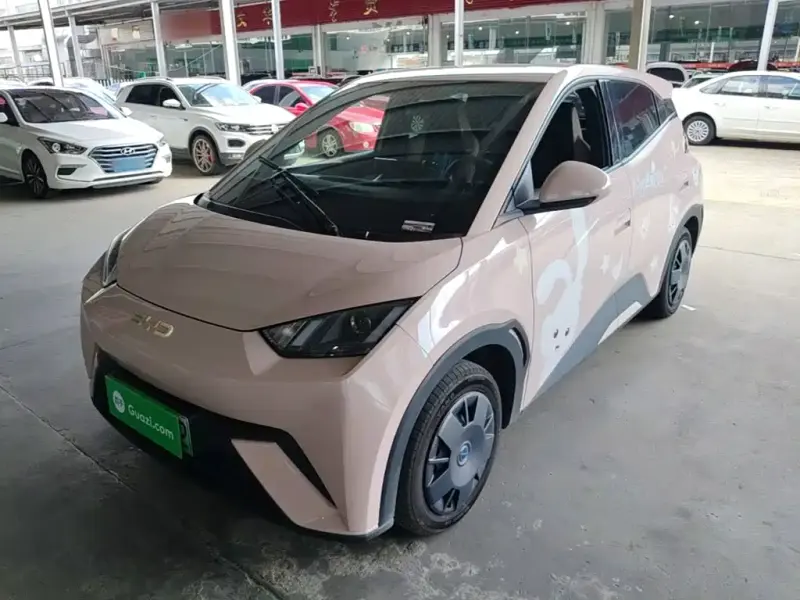 BYD Seagull, 2024