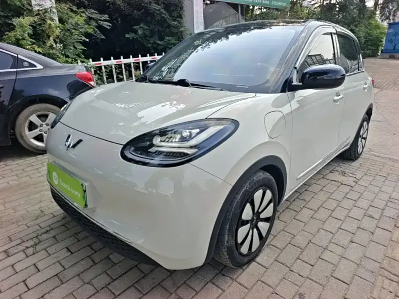 Wuling Bingo, 2025