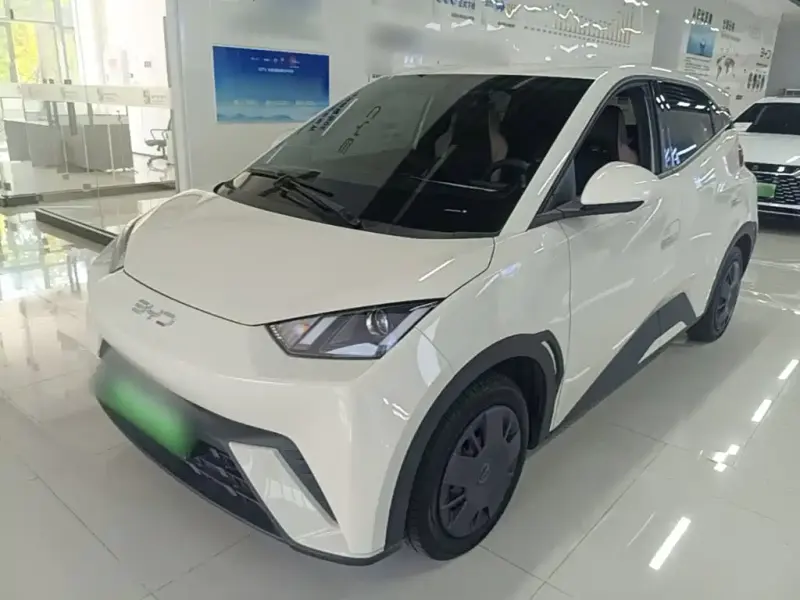 BYD Seagull, 2024