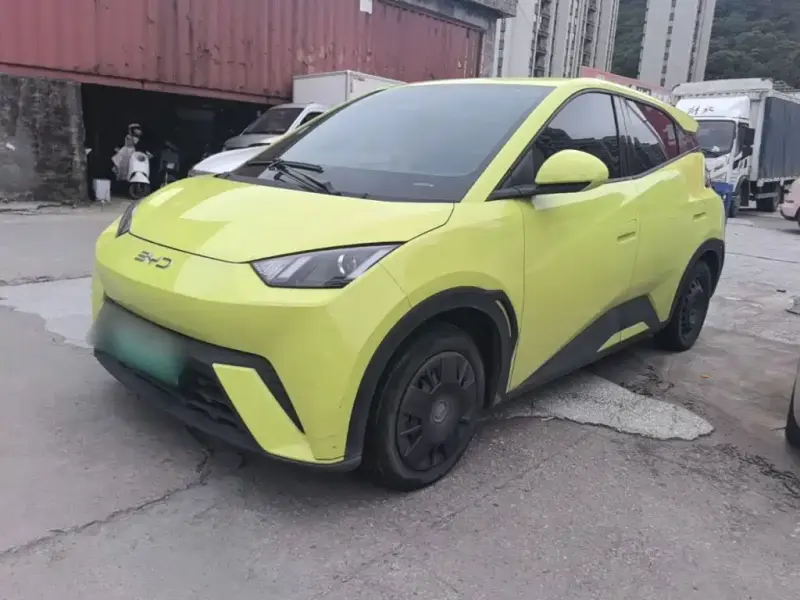 BYD Seagull, 2024