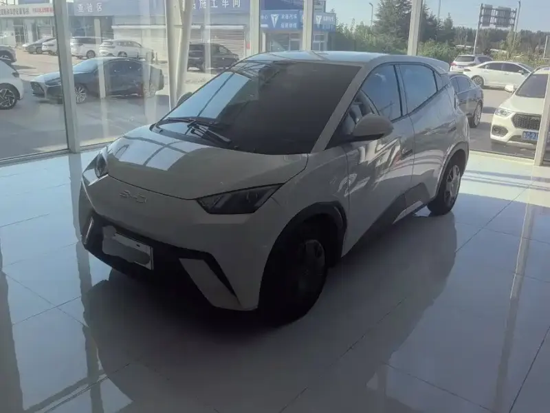 BYD Seagull, 2024