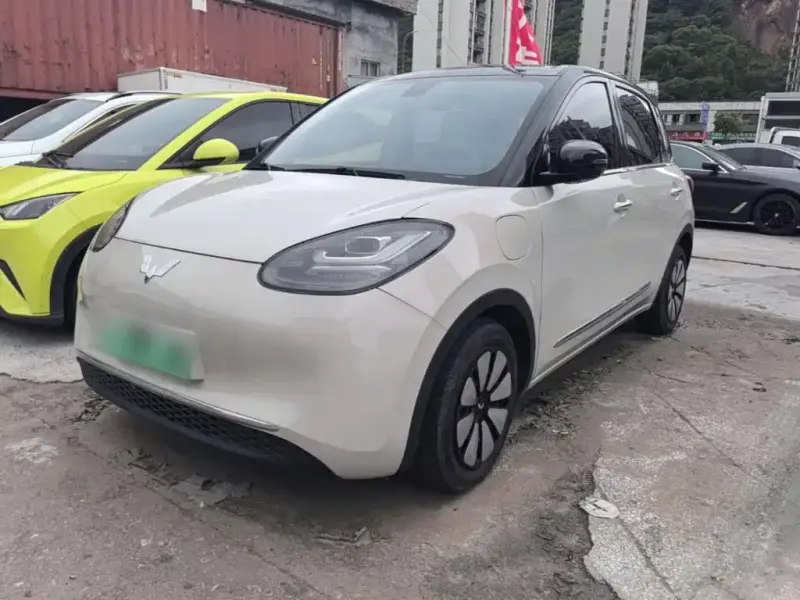 Wuling Bingo, 2023