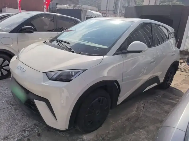 BYD Seagull, 2025