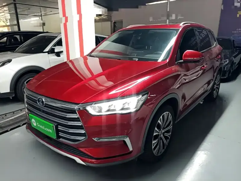 BYD Pro New Energy, 2020
