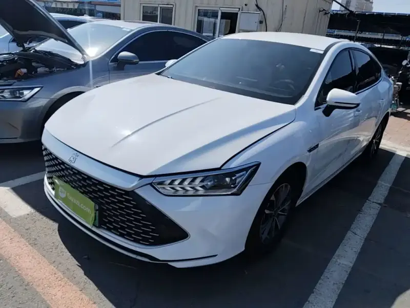 BYD Qin PLUS, 2024