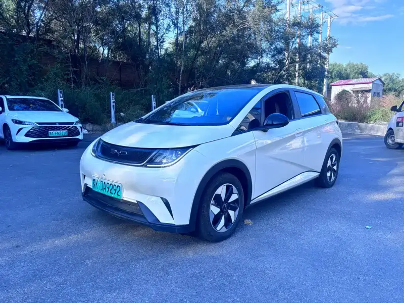 BYD Dolphin, 2024