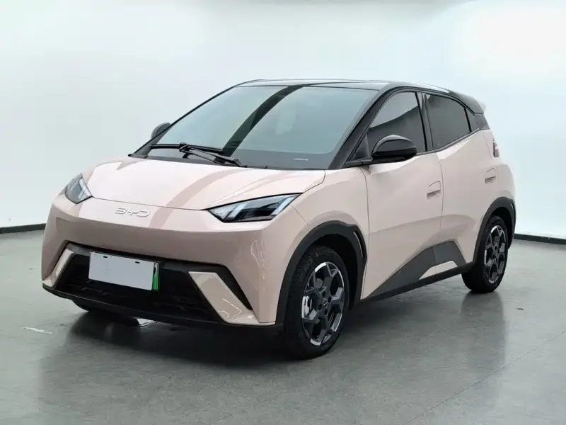 BYD Seagull, 2024