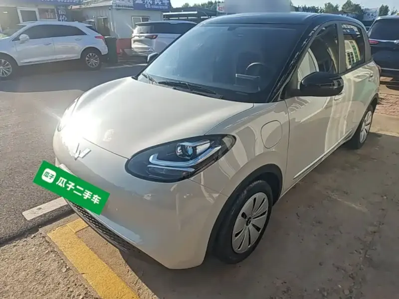 Wuling Bingo, 2024