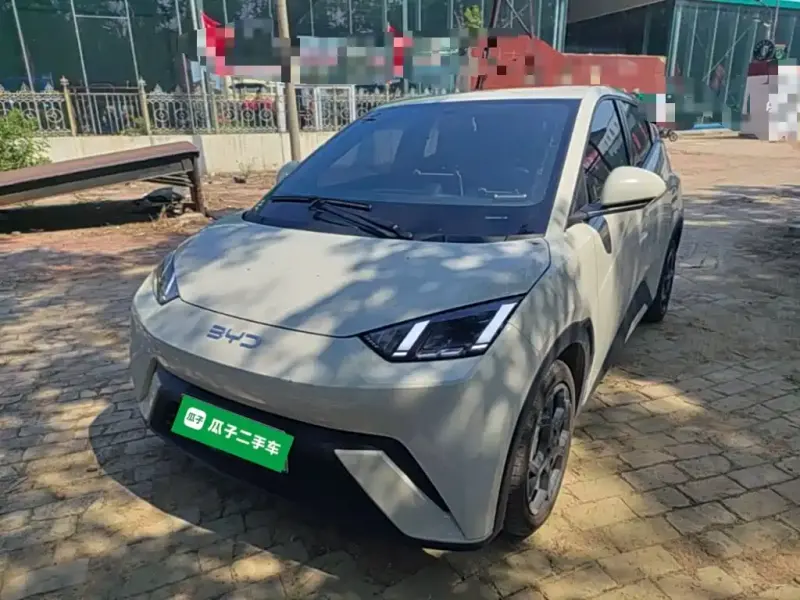 BYD Seagull, 2024