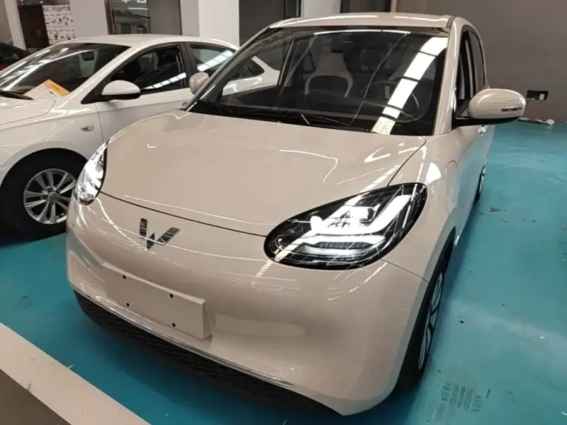 Wuling Bingo, 2025