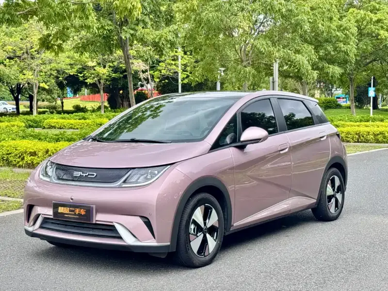 BYD Dolphin, 2024