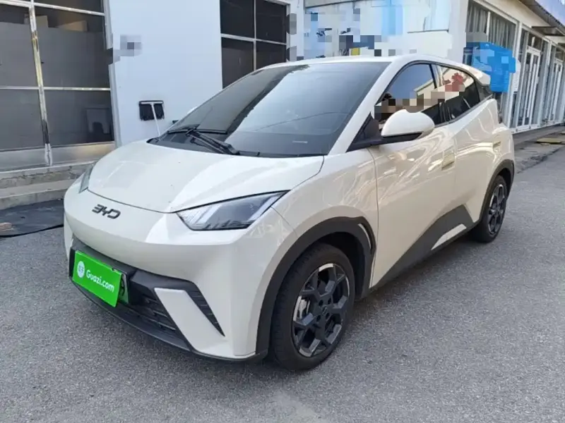 BYD Seagull, 2025