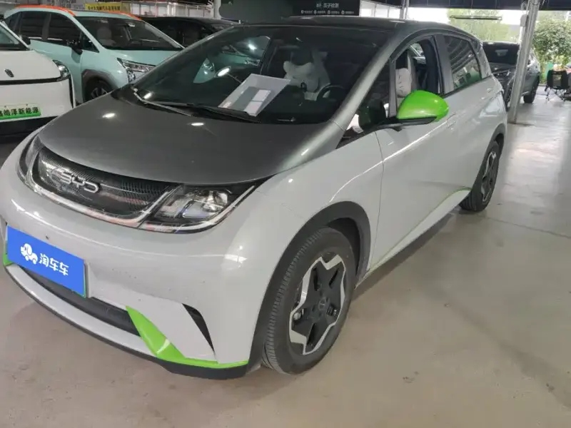 BYD Dolphin, 2022