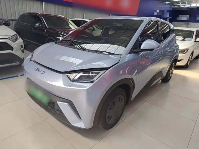 BYD Seagull, 2024