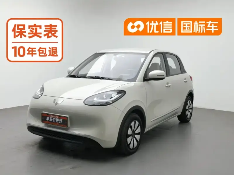 Wuling Bingo, 2023