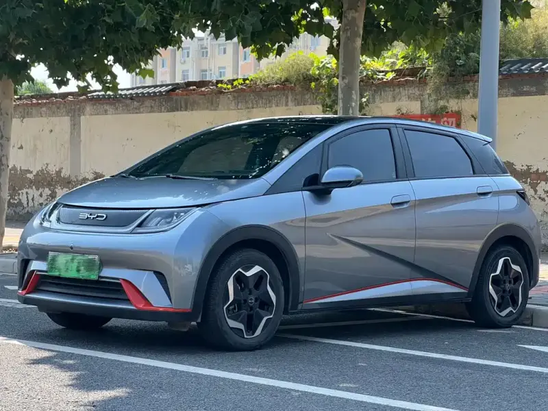BYD Dolphin, 2022
