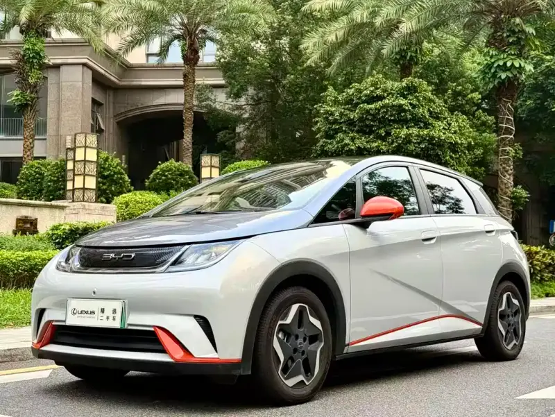 BYD Dolphin, 2022