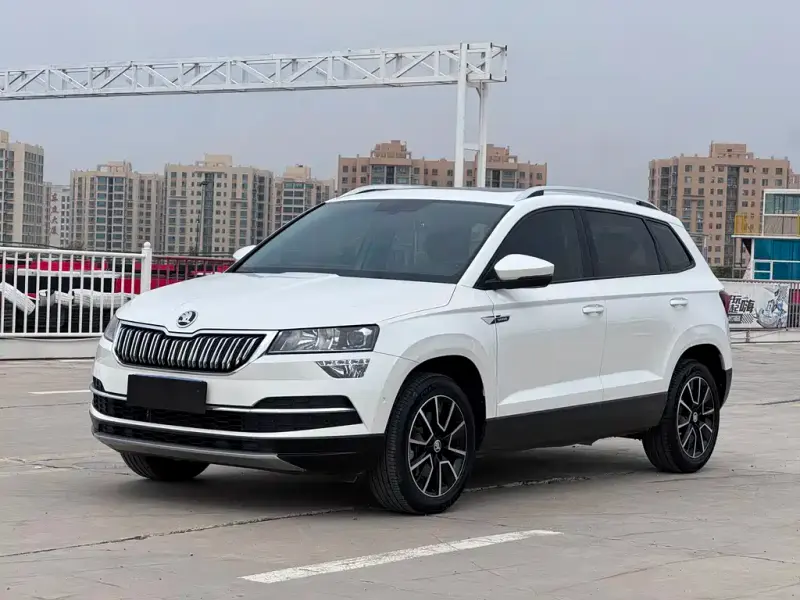 Skoda Karoq, 2019