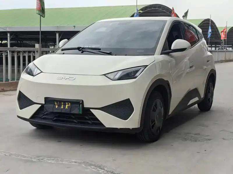 BYD Seagull, 2025