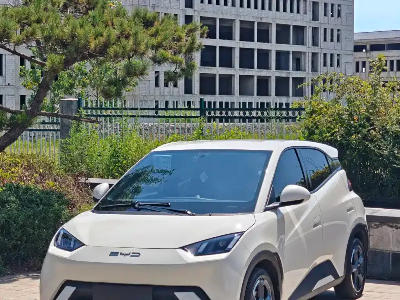 BYD Dolphin, 2022