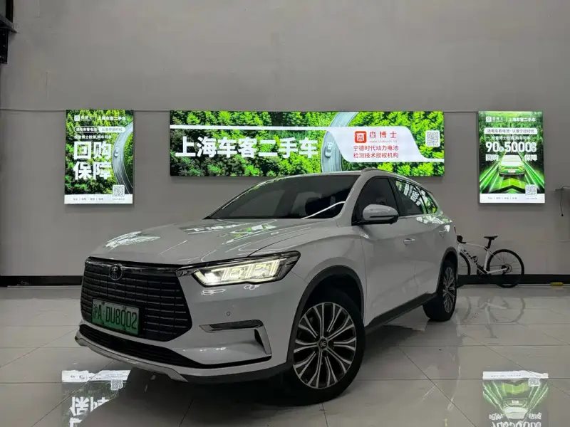 BYD Pro New Energy, 2020