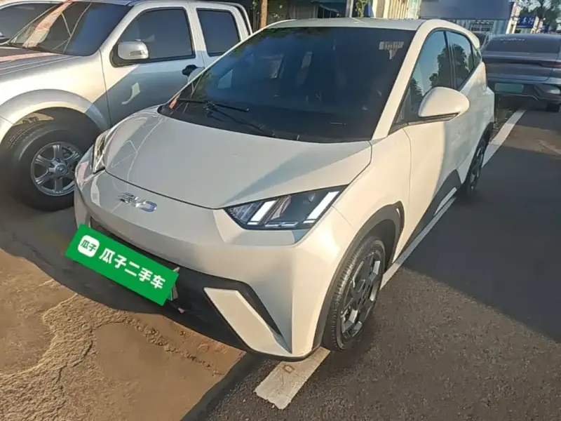 BYD Seagull, 2024