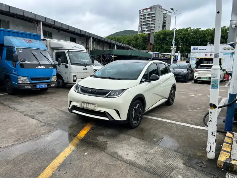 BYD Dolphin, 2023