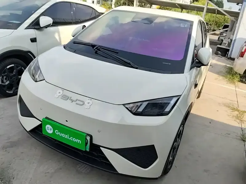 BYD Seagull, 2025