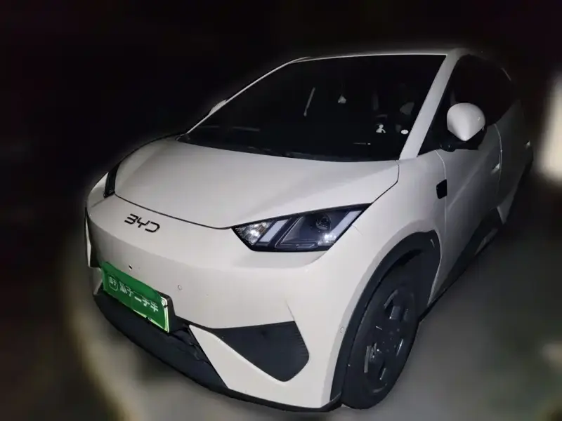 BYD Seagull, 2026