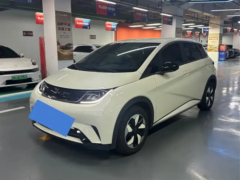 BYD Dolphin, 2026